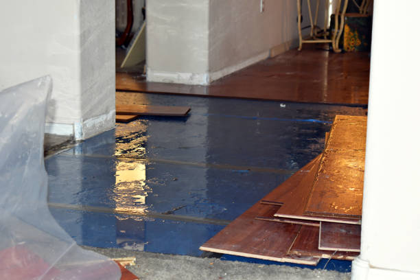 Professional Flood Damage Restoration technician working in Stirling, NJ